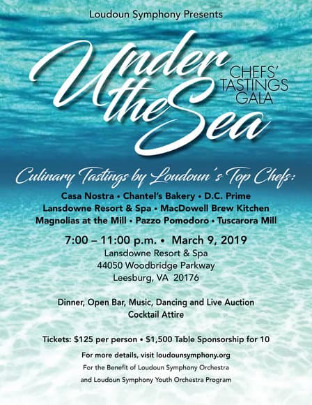 Loudoun Symphony Orchestra Under The Sea Gala — original archived event image