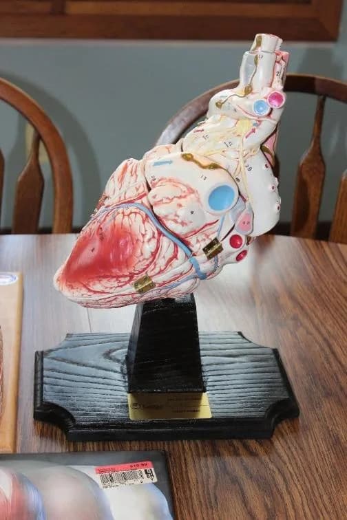 Urgent $2.8 Million Oakton Downsizing Online Auction — auction photograph 1
